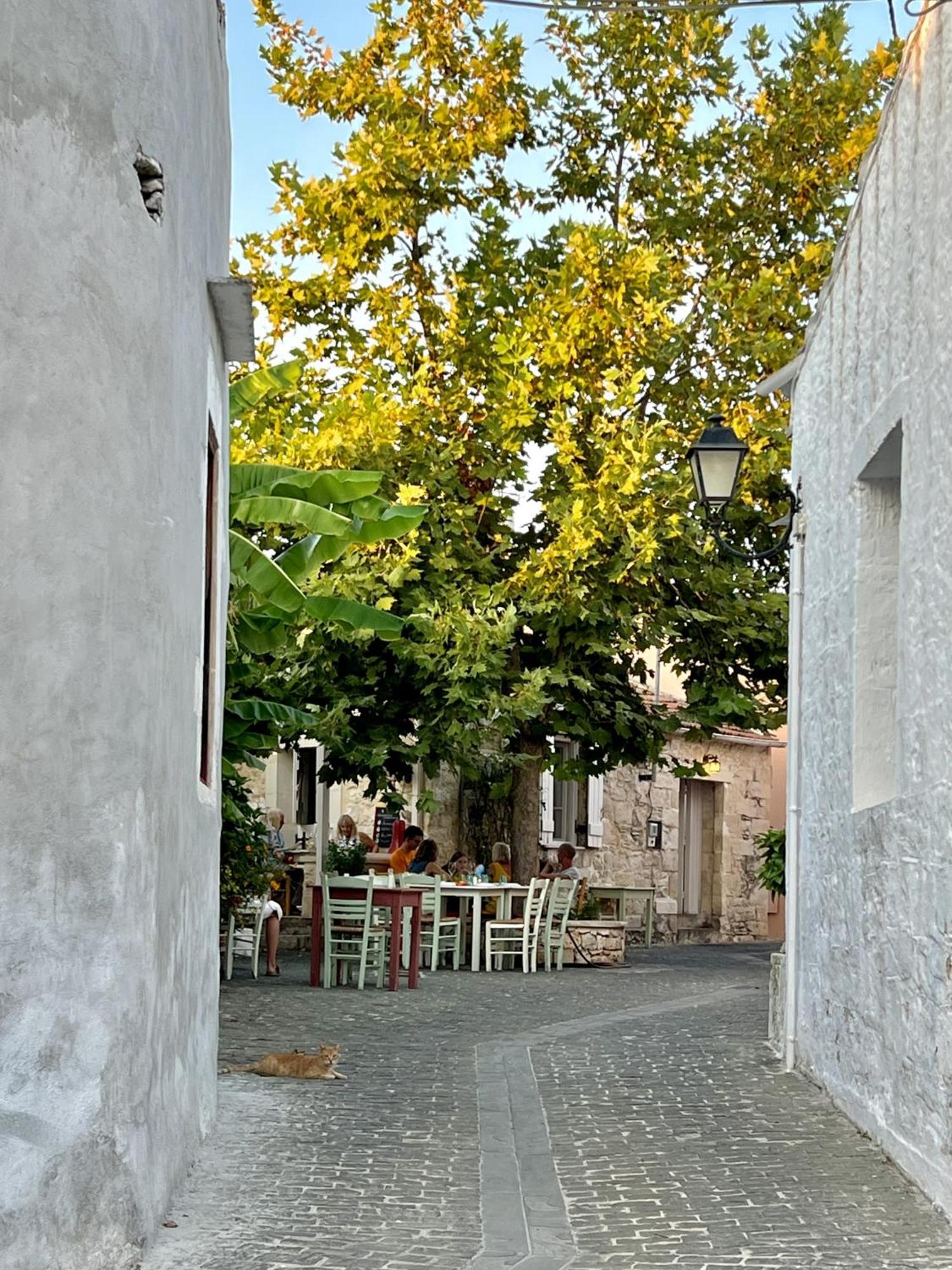 Villa Metapothia Gavalochori Crete المظهر الخارجي الصورة